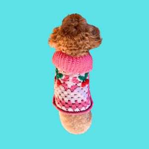 Dog or Cat Cherry Crochet Sweater