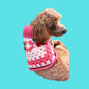 Dog or Cat Cherry Crochet Sweater