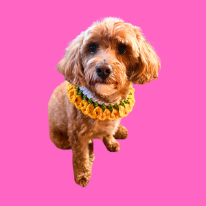 Dog or Cat Yellow Floral Crochet Collar