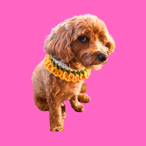 Dog or Cat Yellow Floral Crochet Collar